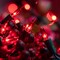 200 Red Christmas Lights, Pack of 2 Strands of 21 ft 100 Count UL Certified Incandescent Mini String Light (Red - Green Wire)